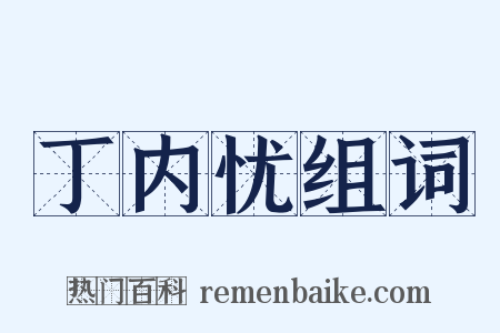 丁内忧组词是什么意思的图片